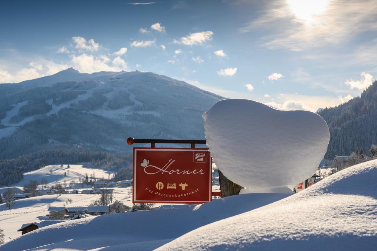 Parchenbauernhof Horner Hotel Flachau Eksteriør billede